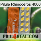Pilule Rhinocéros 4000 42